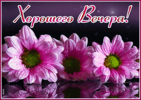 Picture виртуальная открытка с цветочками хорошего вечера!