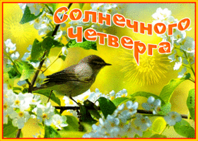 Postcard виртуальная открытка с птичкой солнечного четверга