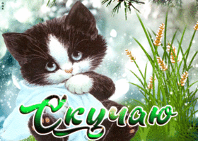 Картинка виртуальная открытка скучаю, с котёнком