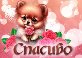 Picture виртуальная открытка спасибо! с собачкой и розами