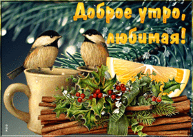 Postcard волшебная анимационная открытка с птичками доброе утро, любимая