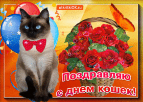Открытка вот тебе корзина с розами в день кошек