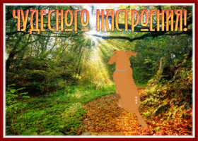 Postcard впечатляющая гиф-открытка с собакой чудесного настроения!