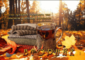 Picture вторник! осень требует горячего чая с лимоном и теплых свитеров