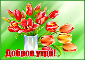 Picture яркая картинка с тюльпанами доброе утро!