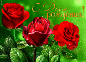 Picture яркая открытка с красными розами с днем рождения