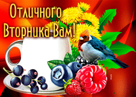 Postcard яркая открытка с птичкой отличного вторника вам!