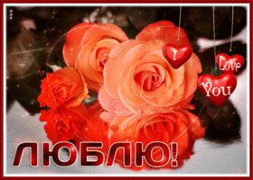 Postcard яркая открытка с розами люблю!