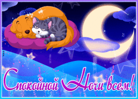 Postcard забавная открытка с кошкой и собакой спокойной ночи всем