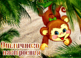 Postcard забавная открытка с обезьянкой отличного настроения!