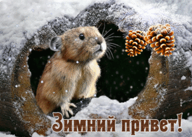 Picture задорная снежная открытка зимний привет