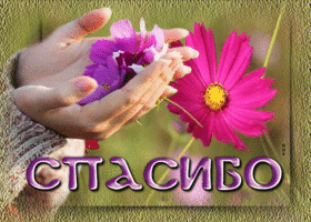 Postcard замечательная открытка спасибо! с цветочками