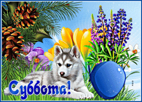 Postcard замечательная открытка суббота! с щенком и цветами