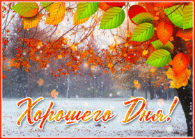Picture замечательная открытка хорошего дня! с листвой и снегом