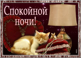Картинка замечательная картинка спокойной ночи с кошкой