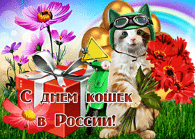 Picture живая открытка с днем кошек в россии