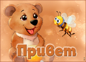 Picture живая открытка с мишкой и пчелкой привет